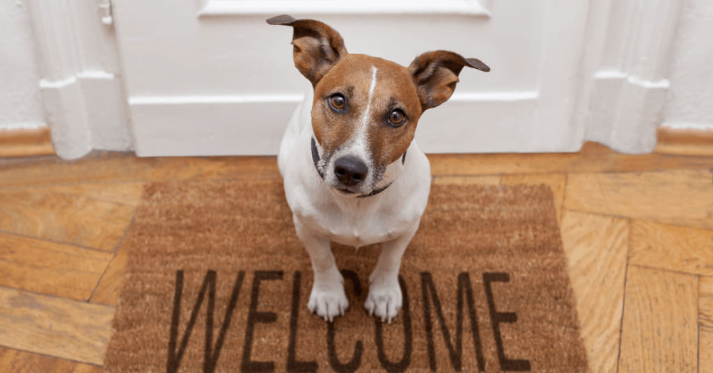 a Houston Apartment Dog Sits in a Welcome Rug | Dallas Apartment Locators | Free Service | Call 972 818 3456